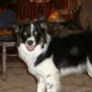 Meet your Posher, Larry